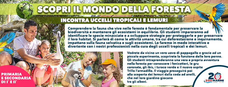 SCOPRI IL MONDO DELLA FORESTA